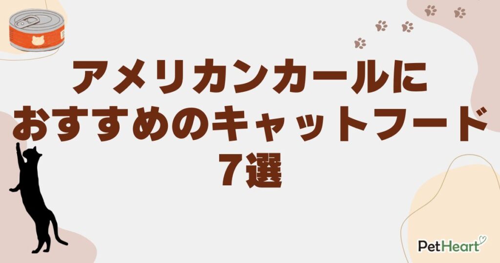 アメリカンカール キャットフード