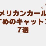 アメリカンカール キャットフード