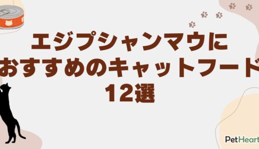エジプシャンマウにおすすめのキャットフード12選！食事を拒否する際の対応策も解説