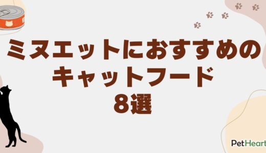 ミヌエットにおすすめのキャットフード8選！飼育の課題や相性が良い猫も解説
