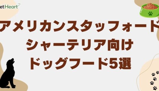 アメリカンスタッフォードシャーテリア向けドッグフードおすすめ5選！給餌量も解説