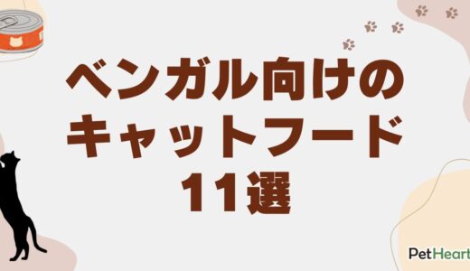 ベンガル向けキャットフード11選！適切な餌の量や通販で買えるフードも紹介