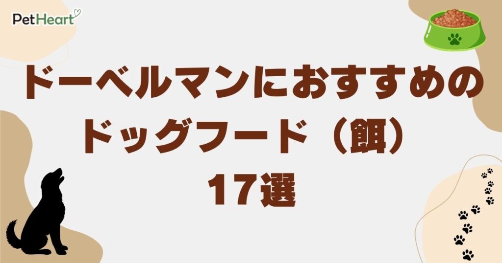 ドーベルマン ドッグフード(餌)