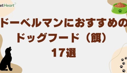 ドーベルマンにおすすめのドッグフード（餌）17選！1日に必要な給餌量も解説