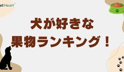 犬が好きな果物ランキング発表！果実を含んだドッグフードも紹介