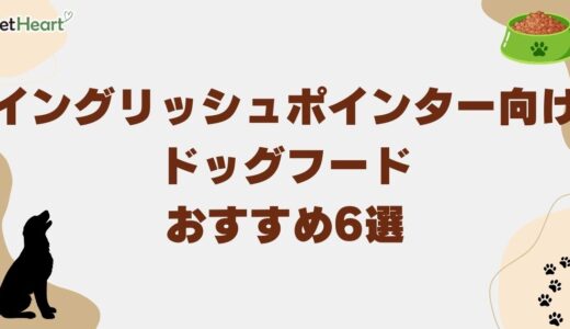 イングリッシュポインター向けドッグフードおすすめ6選！選び方や給餌量の目安