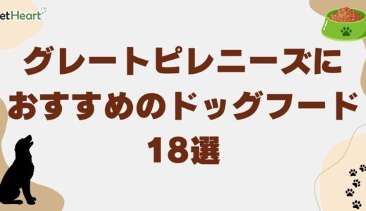 グレートピレニーズ向けドッグフードおすすめ18選！トラブル時の対応策も解説