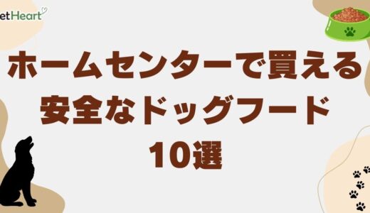 ホームセンターで買える安全なドッグフード10選！愛犬にぴったりの選び方解説