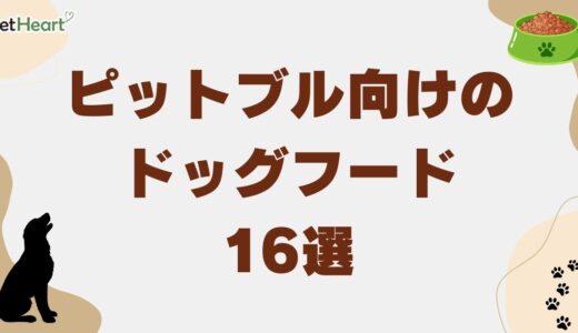 ピットブル向けドッグフードおすすめ16選！給餌量も解説