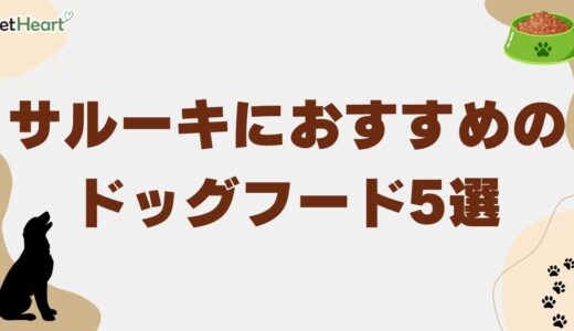 サルーキにおすすめのドッグフード5選！押さえるべき選び方のポイントも紹介