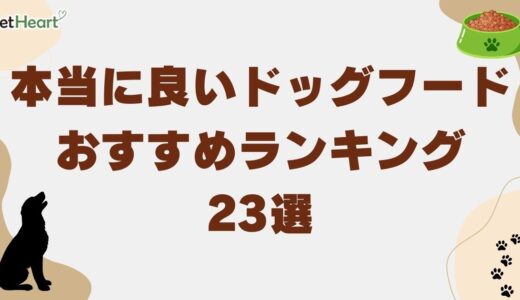 本当に良いドッグフードおすすめランキング23選！選び方も解説
