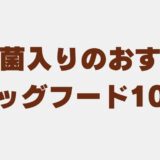 ドッグフード 乳酸菌