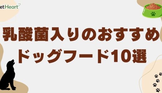 乳酸菌入りのおすすめドッグフード10選！愛犬への必要性や製品の選び方も解説