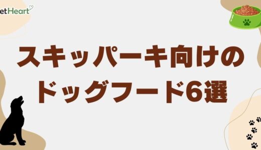 スキッパーキ向けドッグフードおすすめ6選！給餌量の目安も年齢別に解説