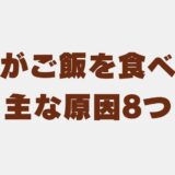 柴犬 ご飯食べない