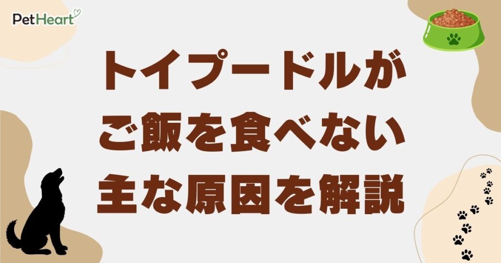 トイプードル ご飯食べない