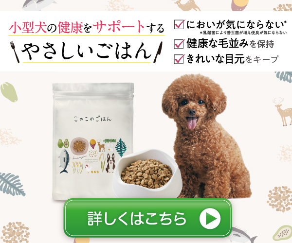 このこのごはん ドッグフード
