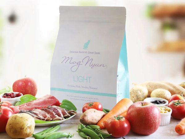 モグニャンキャットライト