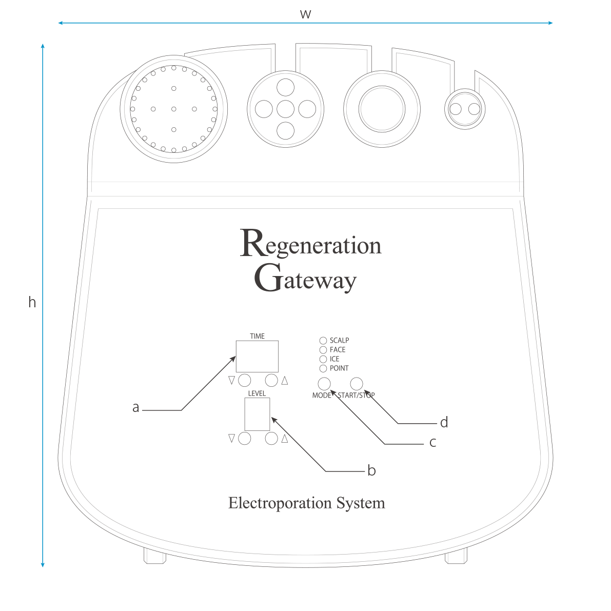 RGエレクトロポレーション 平面図