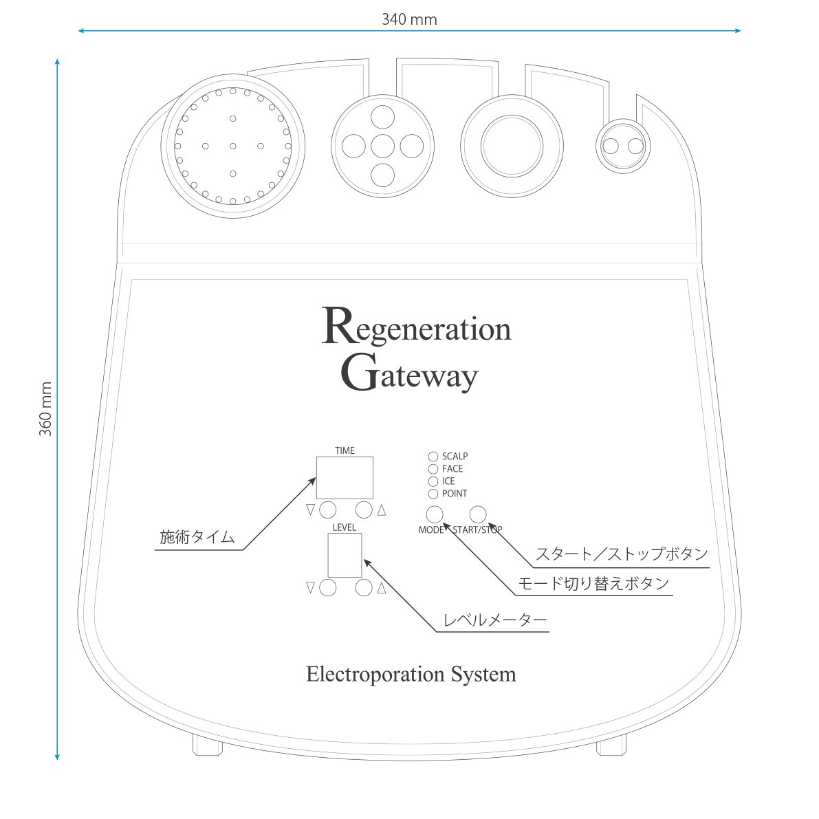 RGエレクトロポレーション 平面図