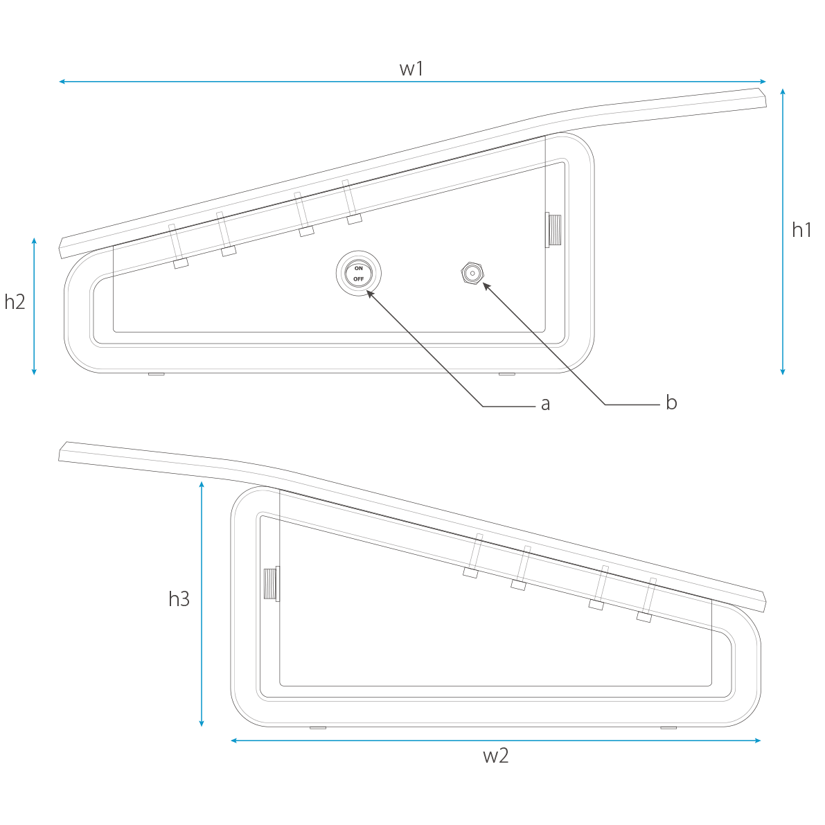 RGエレクトロポレーション 側面図