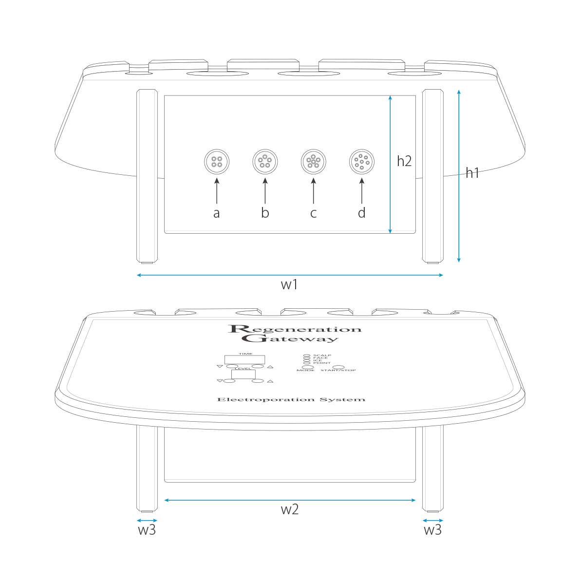 RGエレクトロポレーション 表裏図