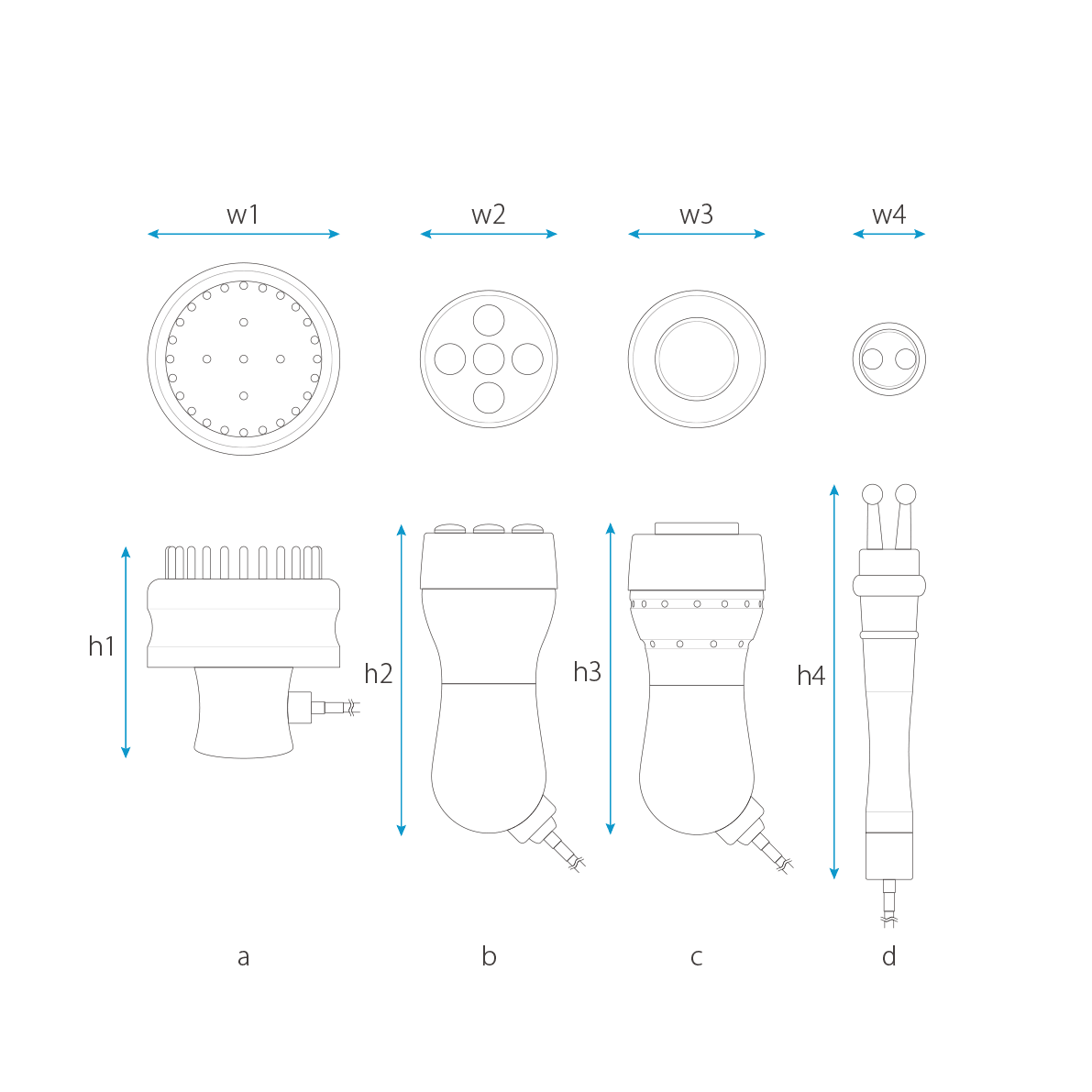 RGエレクトロポレーション 平面図