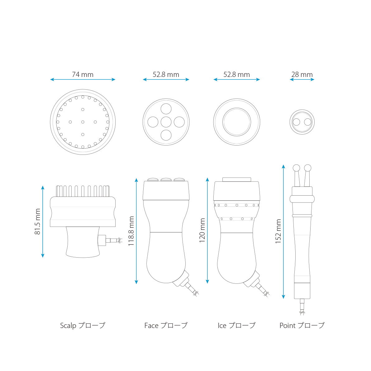 RGエレクトロポレーション 平面図