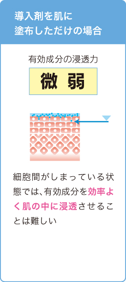 エレクトロポレーション専用導入剤