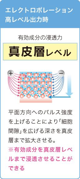 エレクトロポレーション専用導入剤