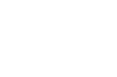 RG Electroporation