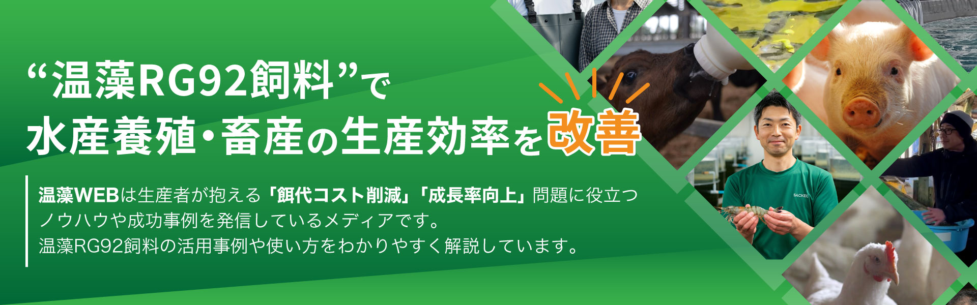 温藻RG92飼料で水産養殖・畜産の生産効率を改善 温藻WEBは生産者が抱える「餌代コスト削減」「成長率向上」問題に役立つノウハウや成功事例を発信しているメディアです。温藻RG92飼料の活用事例や使い方をわかりやすく解説しています
