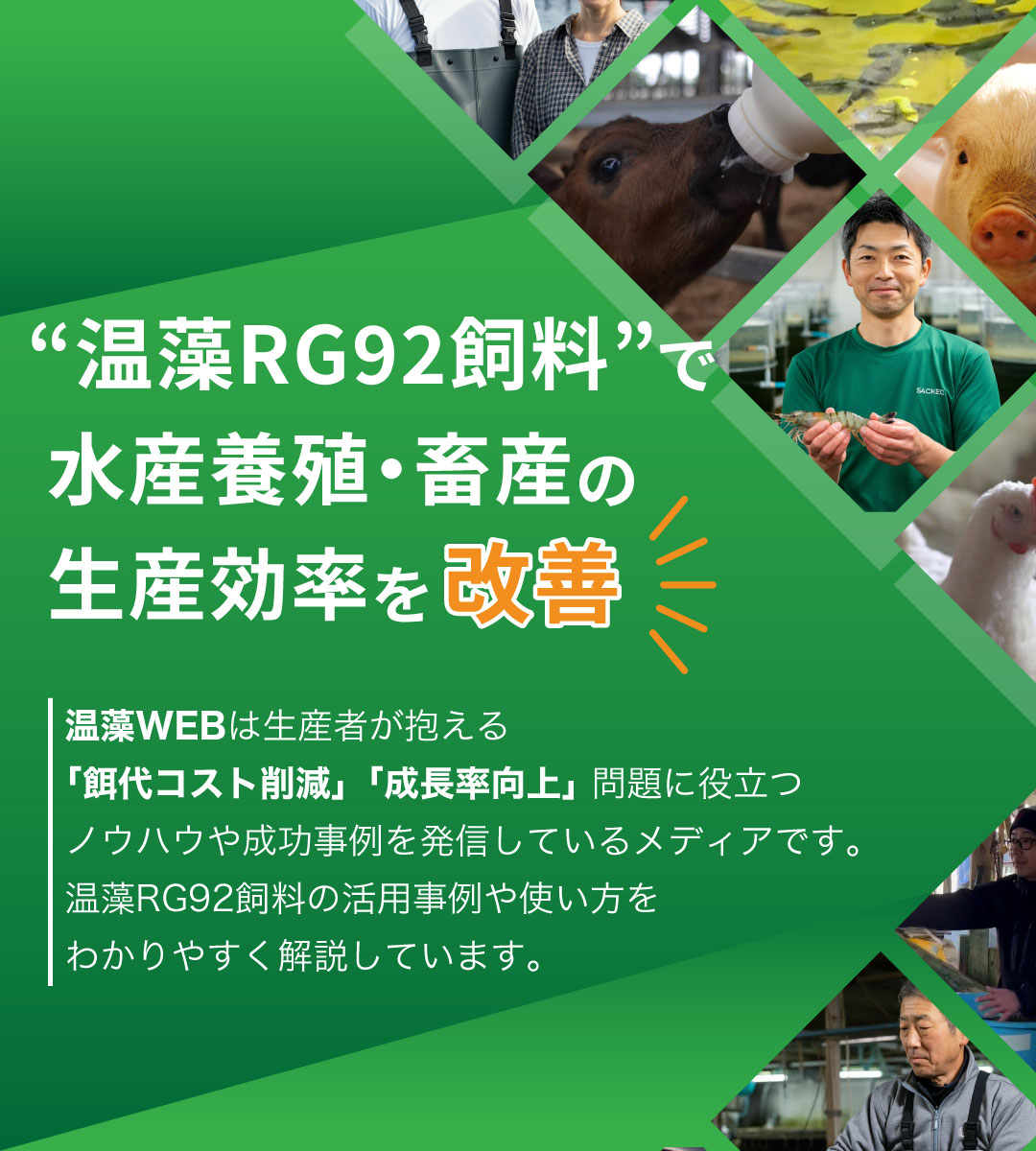 温藻RG92飼料で水産養殖・畜産の生産効率を改善 温藻WEBは生産者が抱える「餌代コスト削減」「成長率向上」問題に役立つノウハウや成功事例を発信しているメディアです。温藻RG92飼料の活用事例や使い方をわかりやすく解説しています