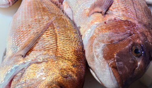 養殖業の増肉係数を向上させる餌管理の方法