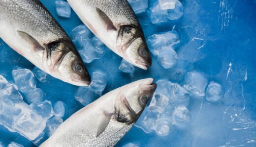 養殖魚の健康を守る！プロ＆プレバイオティクスとRG92エキスで増肉効率を改善