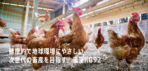 RG畜産サポート研究事業 家畜の腸内環境を改善して食と環境の安全を守る イメージ画像