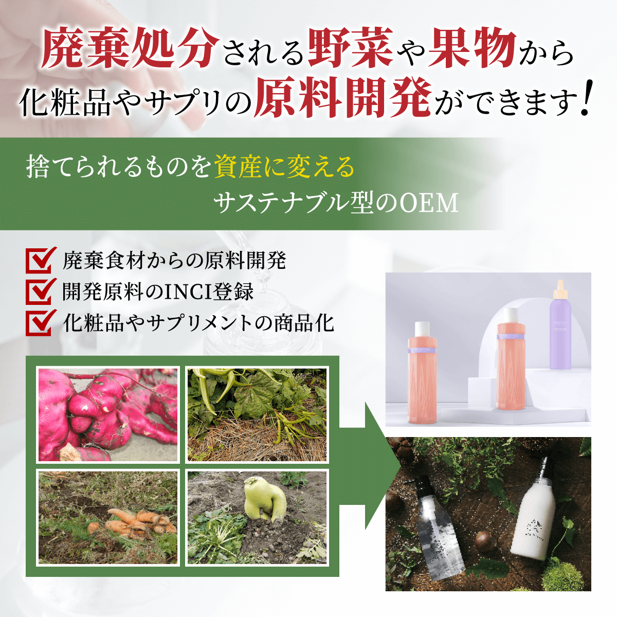 廃棄処分される野菜や果物から化粧品やサプリのOEM原料開発ができます