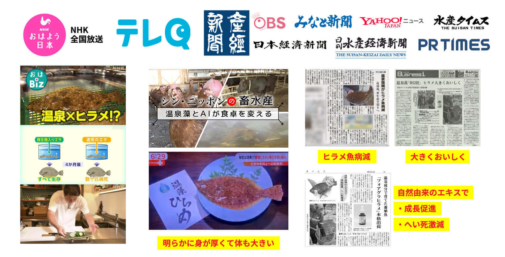 テレビ・新聞等でも紹介 おはよう日本 NHK テレQ イブニングプラス 産経新聞