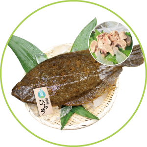 温藻ヒラメ発売