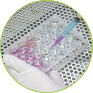 細胞試験〈広島大学〉