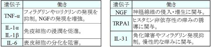 表1　温泉藻類RG92により発現が抑制された遺伝子