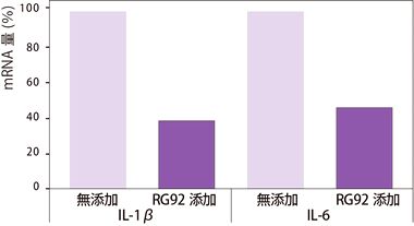 円形脱毛症モデルにおける抗炎症作用を証明