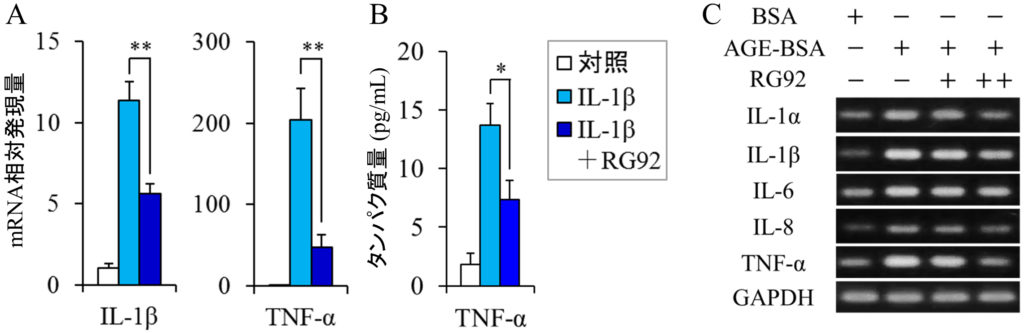 図3 毛乳頭細胞におけるMucidosphaerium sp. RG92株抽出物の抗炎症作用