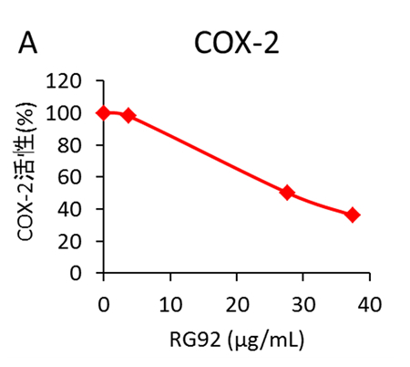 （A）COX-2活性阻害