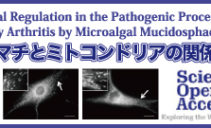 医学(分子医学）専門誌「Molecular Medicine: Current Aspects」にて原著論文が掲載