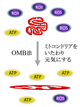 B) OMB (Onsen Microorganism-Based)法