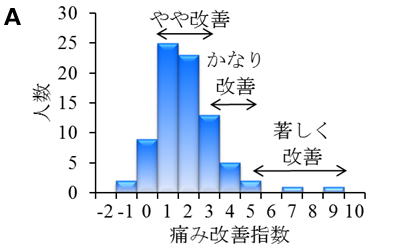 A）痛みレベルを10段階評価し、使用前後の差を改善指数とした。